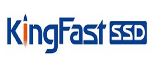 KIngfast - Logo